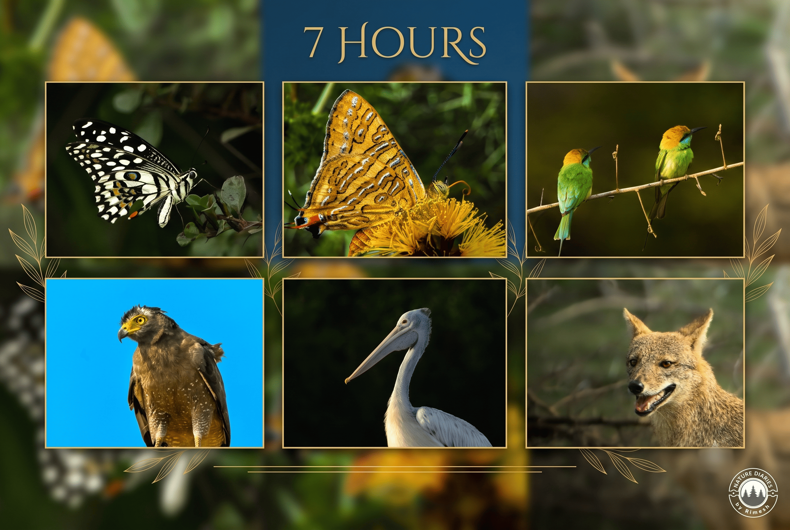 Yala Wilderness Expedition